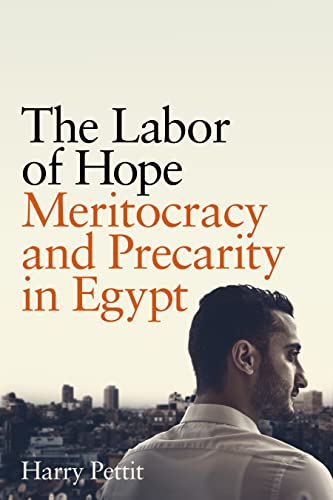 The Labor Of Hope Meritocracy And Precarity In Egypt 1st Edition Pettit