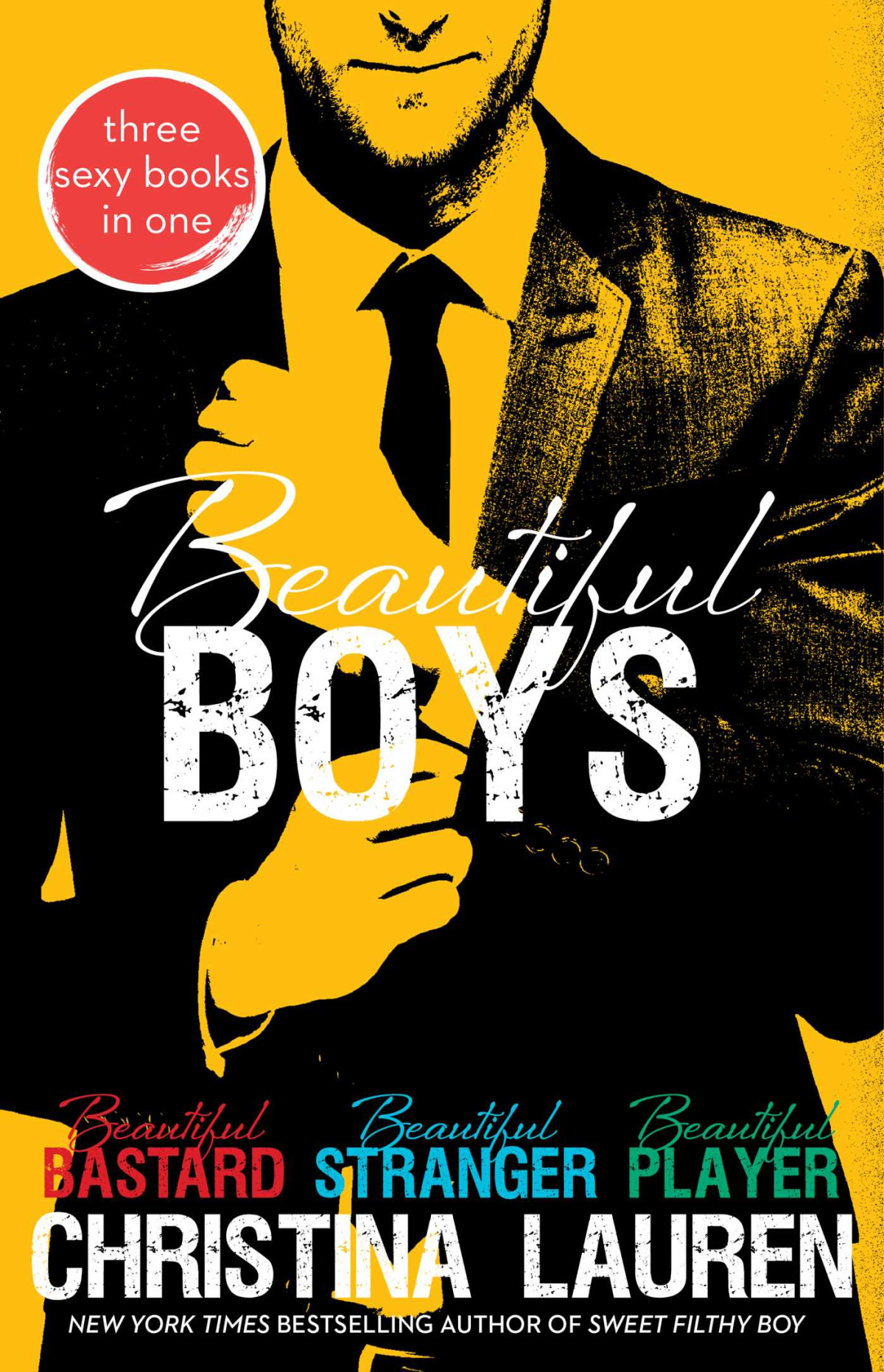 Beautiful Boys Beautiful Bastard Beautiful Stranger And Beautiful Player The Beautiful Series Christina Lauren
