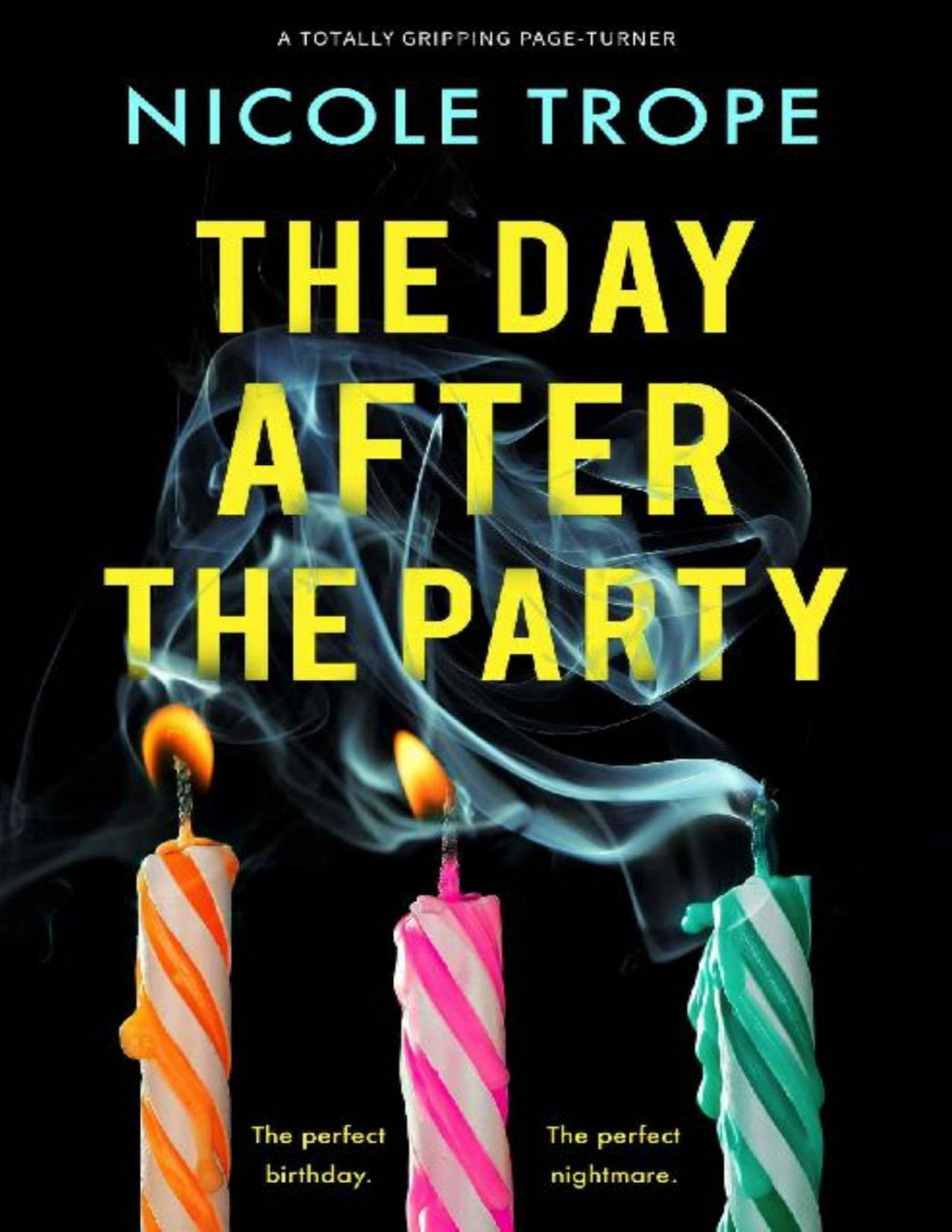 The Day After The Party A Totally Gripping Pageturner Nicole Trope
