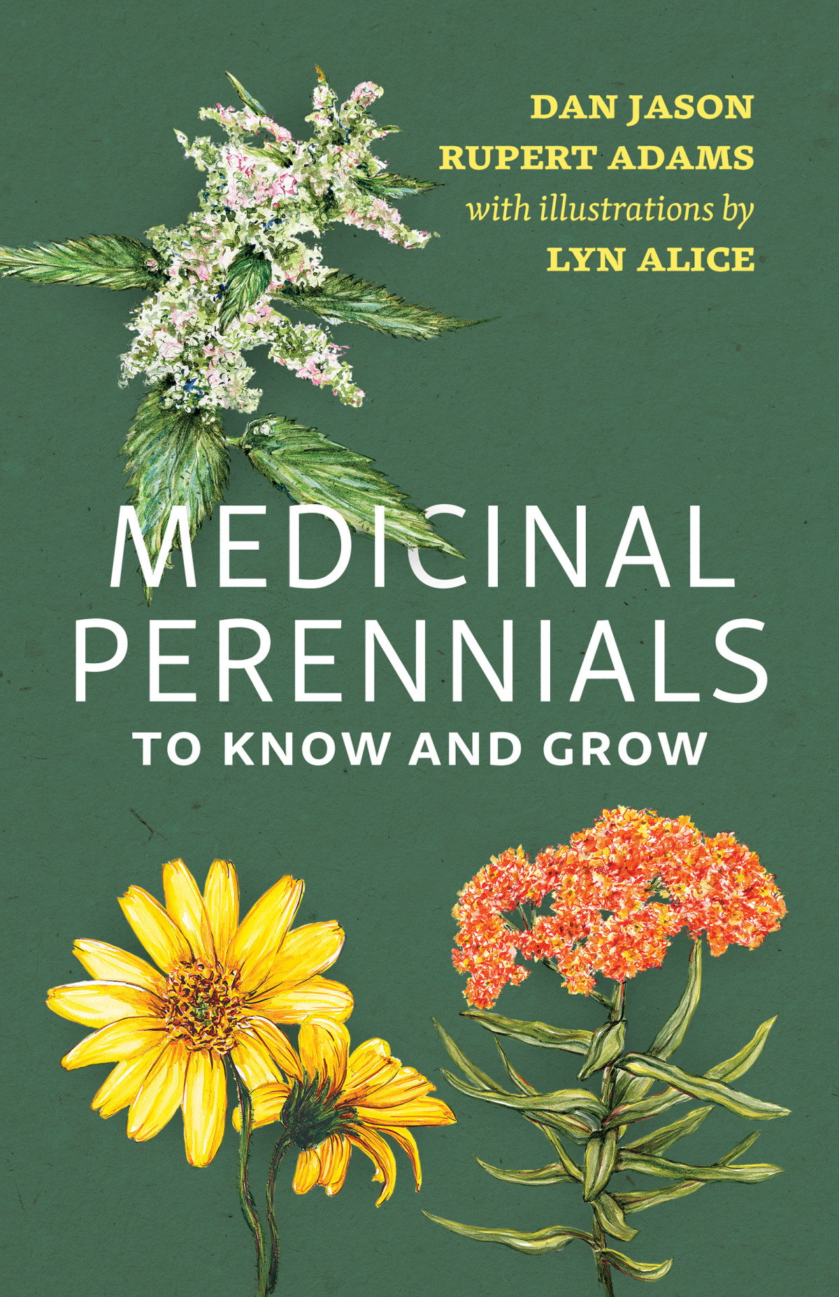 Medicinal Perennials To Know And Grow Dan Jason Rupert Adams