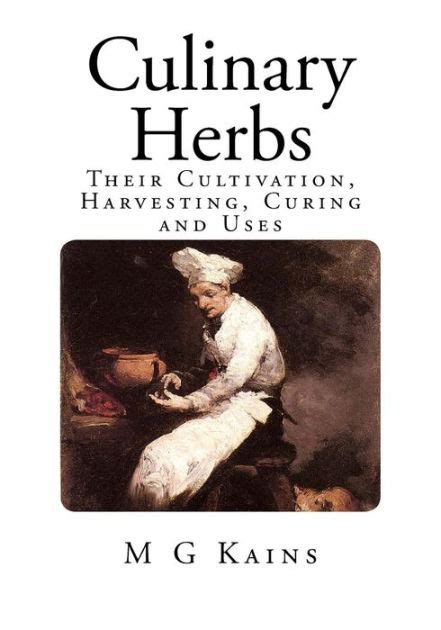 Culinary Herbs Their Cultivation Harvesting Curing And Uses Kains