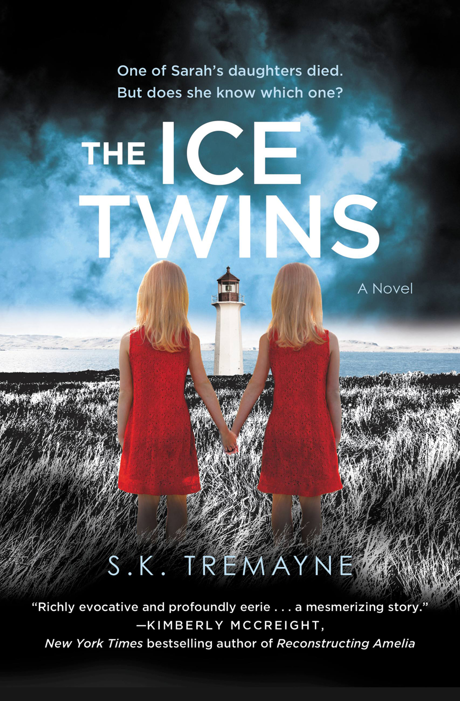 The Ice Twins Sk Tremayne