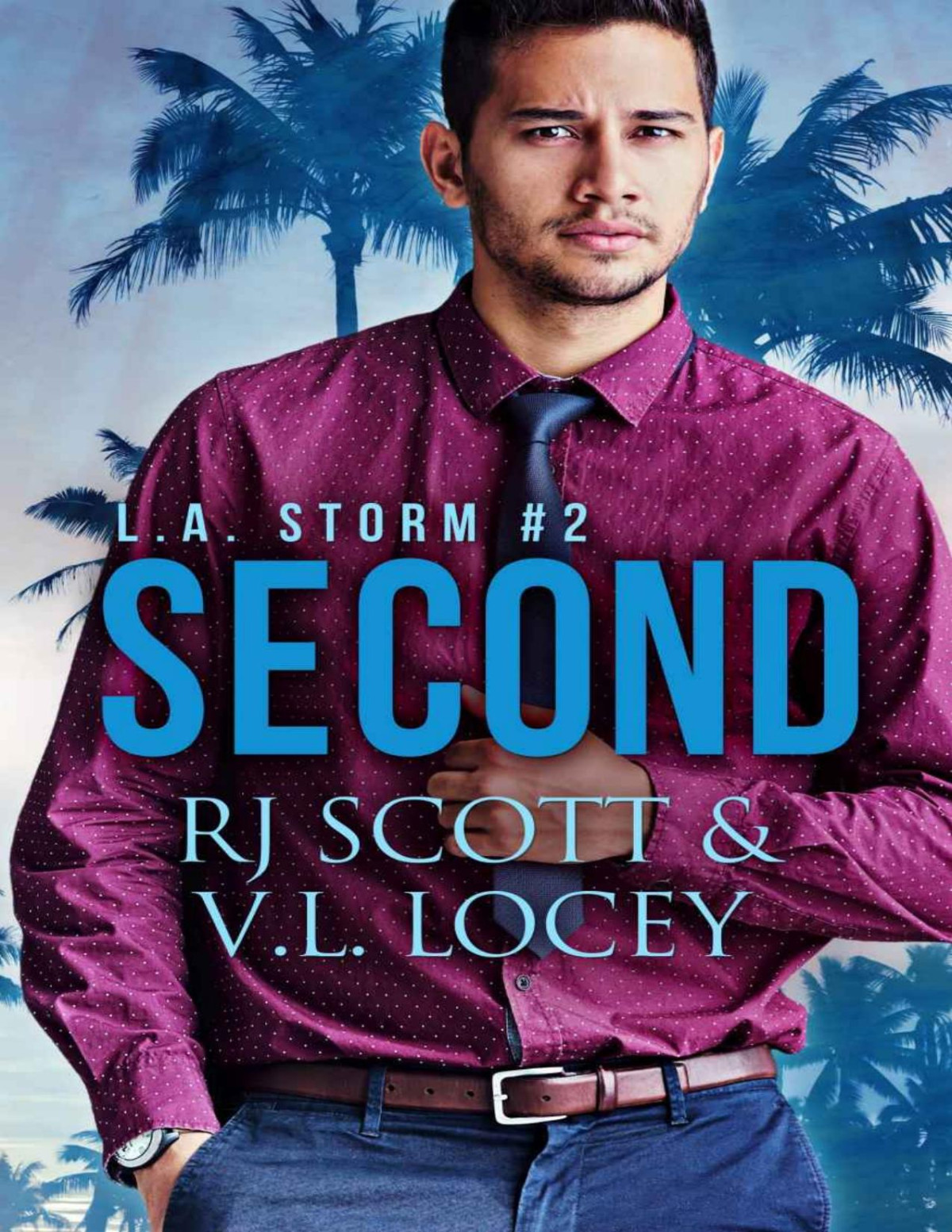 Second A Gay Hockey Romance La Storm Book 2 Rj Scott Vl Locey