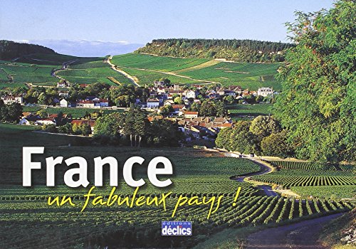 France Un Fabuleux Pays 1st Edition Renaudhenneresse Florence