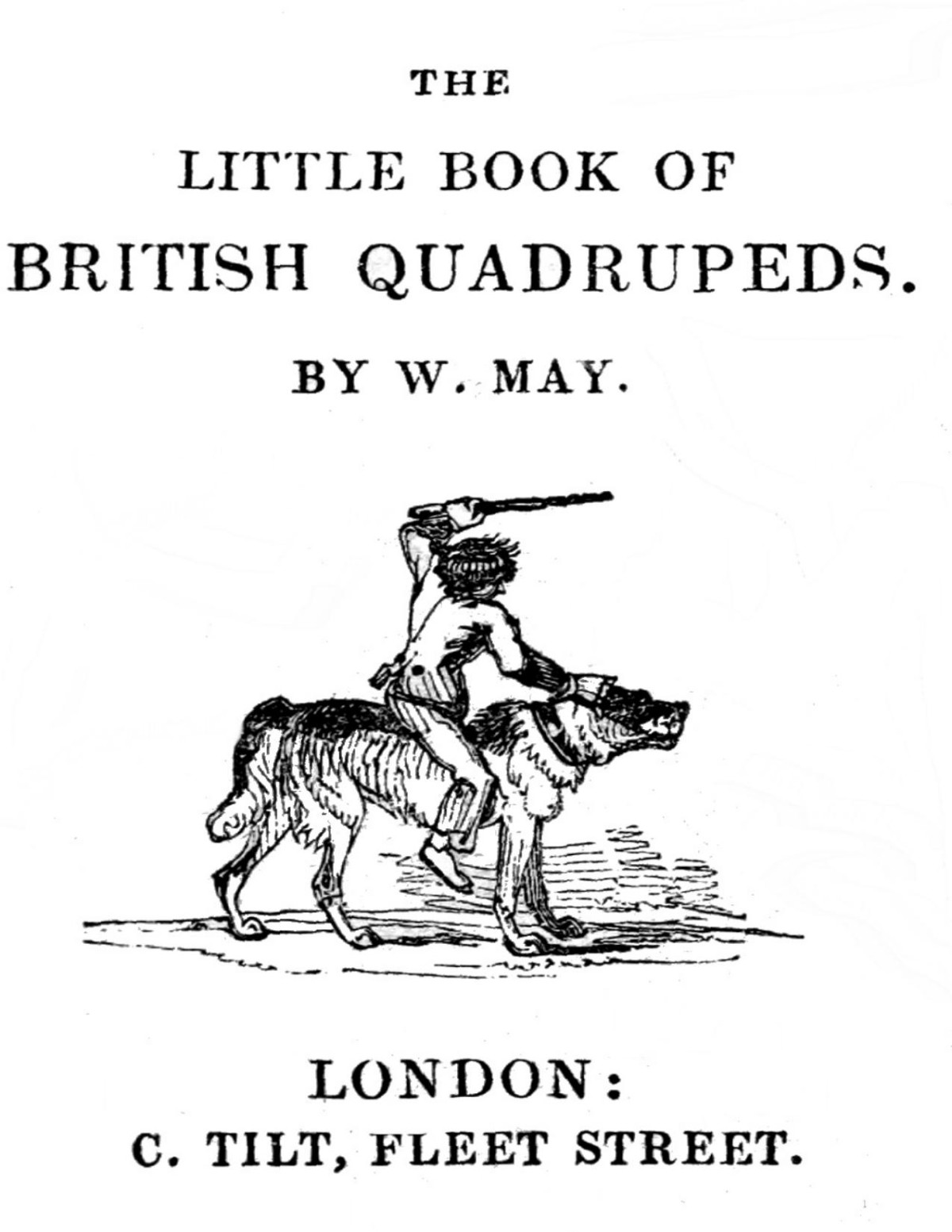 The Little Book Of British Quadrupeds Rev W May