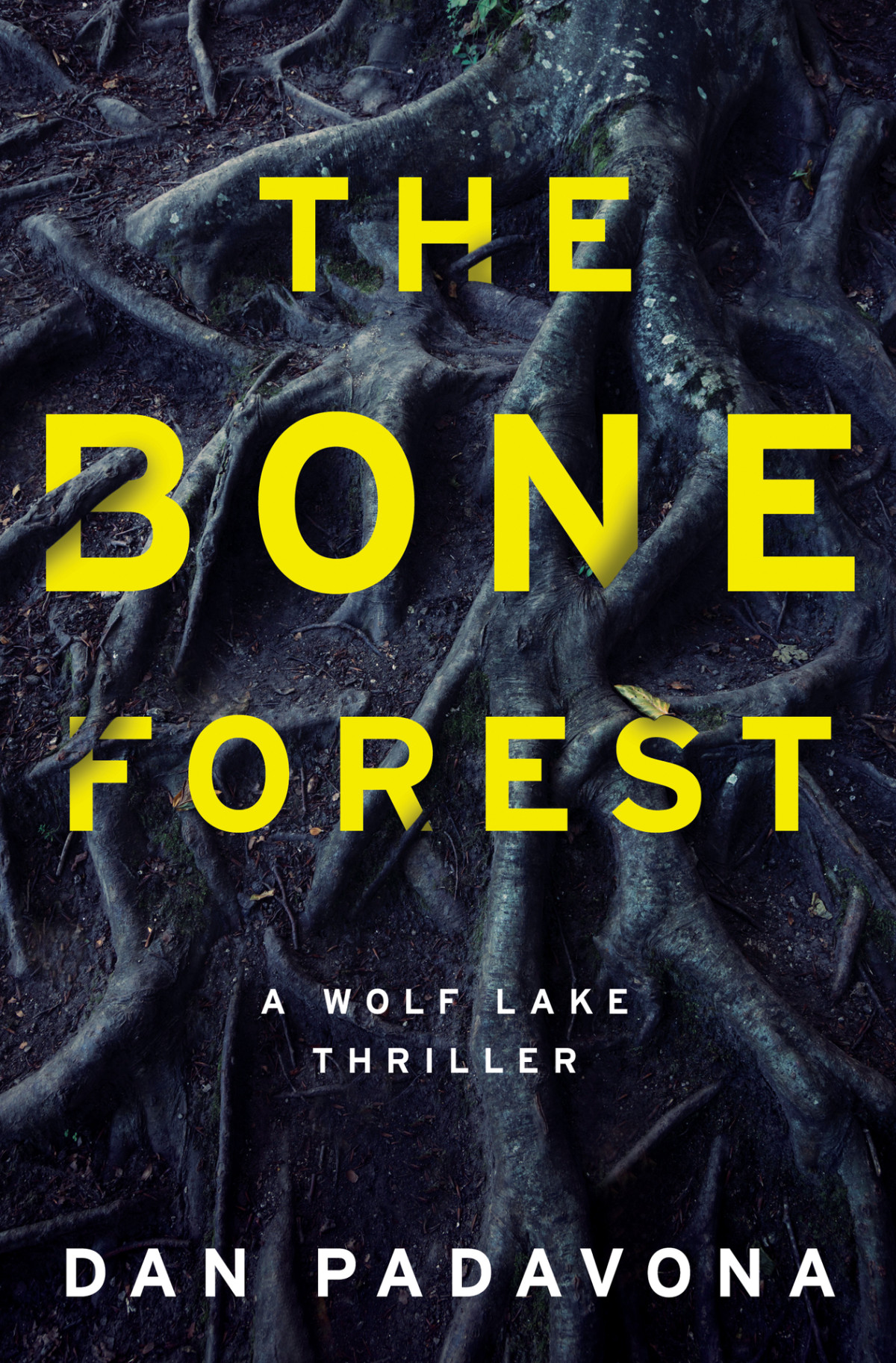 The Bone Forest Padavona Dan
