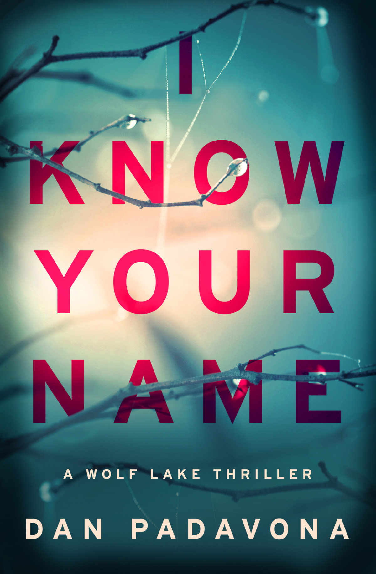 I Know Your Name A Chilling Dark Suspense Thriller Wolf Lake Thriller Book 5 Dan Padavona