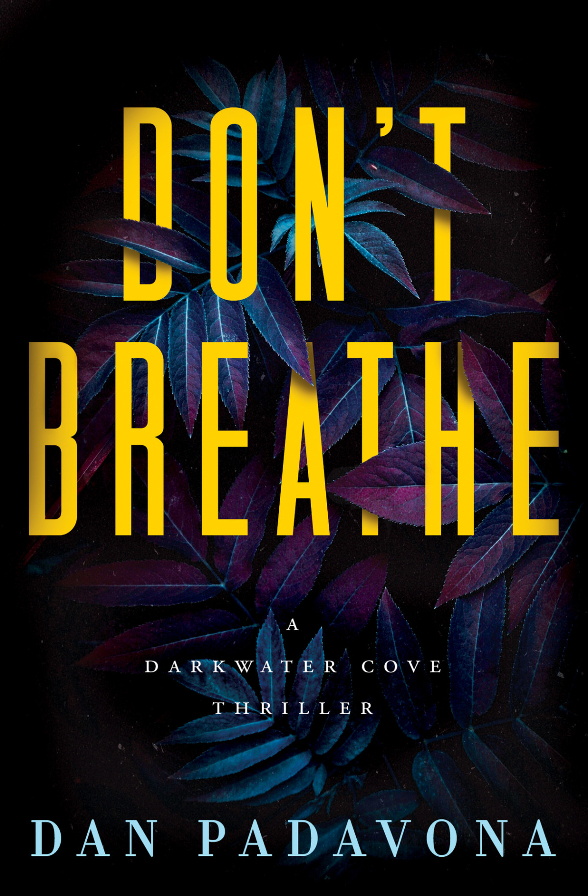 Dont Breathe Dan Padavona