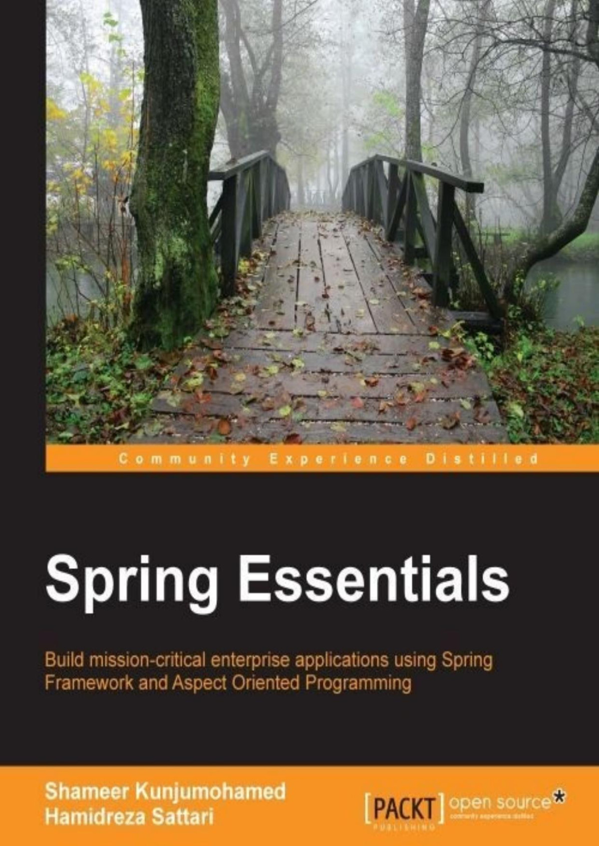 Spring Essentials 1st Edition Kunjumohamed Shameer Sattari Hamidreza