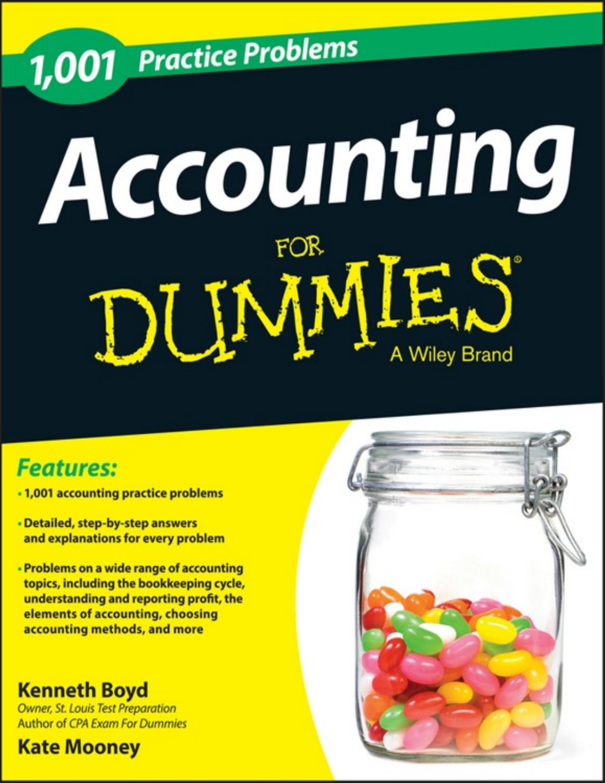 1001 Accounting Practice Problems For Dummies 1st Kenneth Boyd