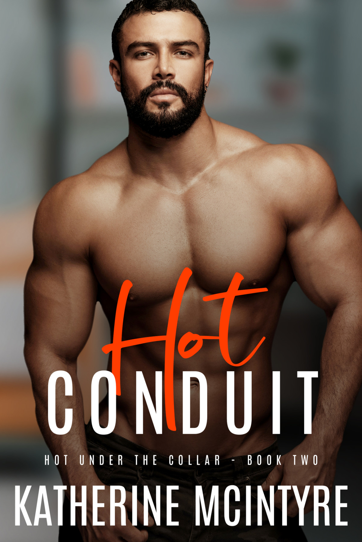 Hot Conduit Hot Under The Collar Book 2 Katherine Mcintyre