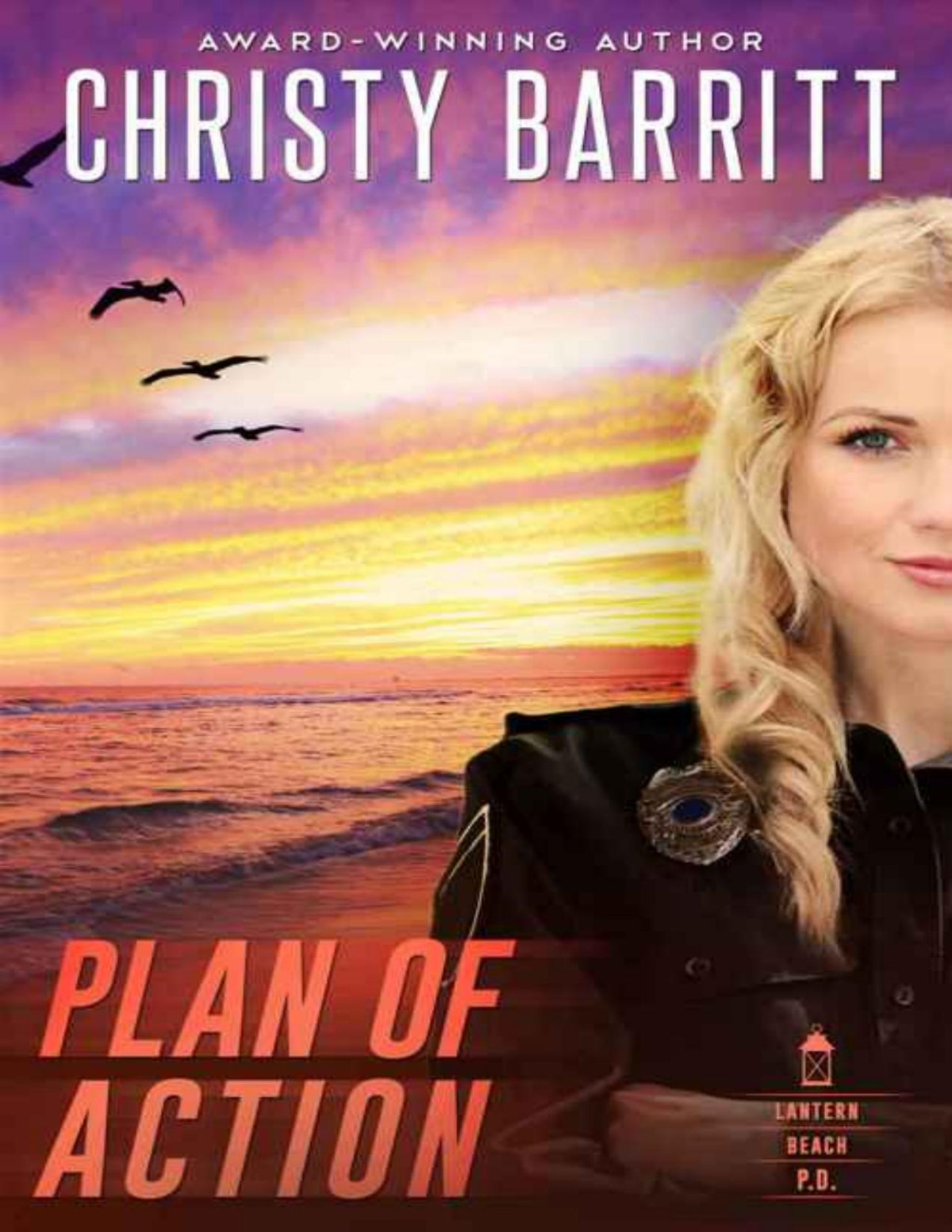 Plan Of Action Christy Barritt