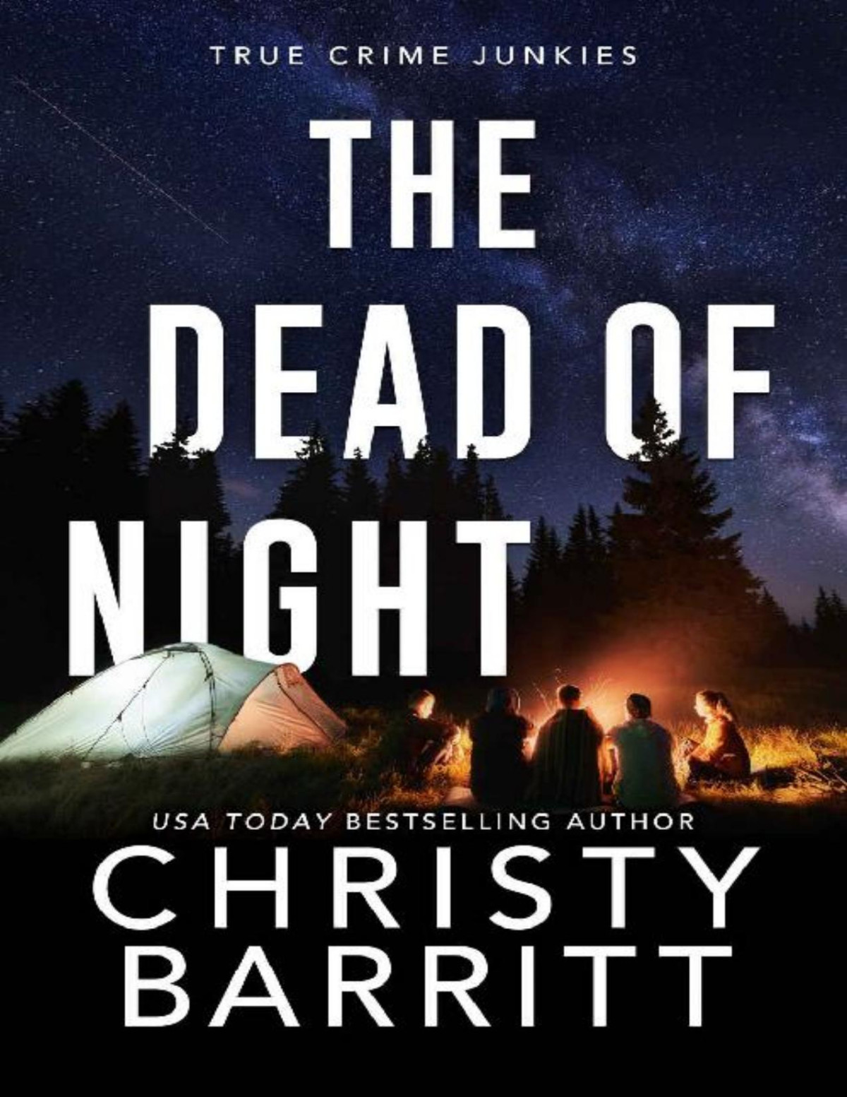 The Dead Of Night True Crime Junkies Book 4 Christy Barritt
