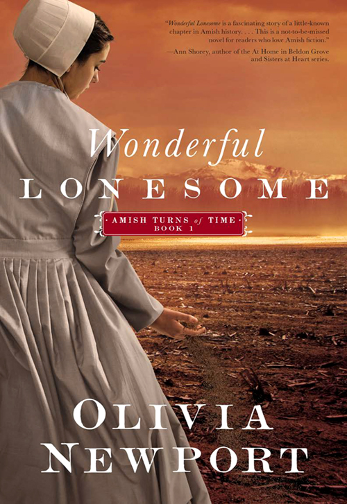 Wonderful Lonesome Amish Turns Of Time 01 Olivia Newport
