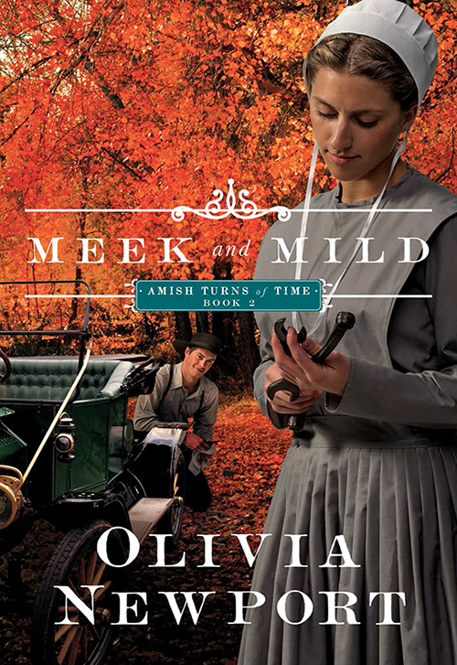 Meek And Mild Amish Turns Of Time 2 Olivia Newport