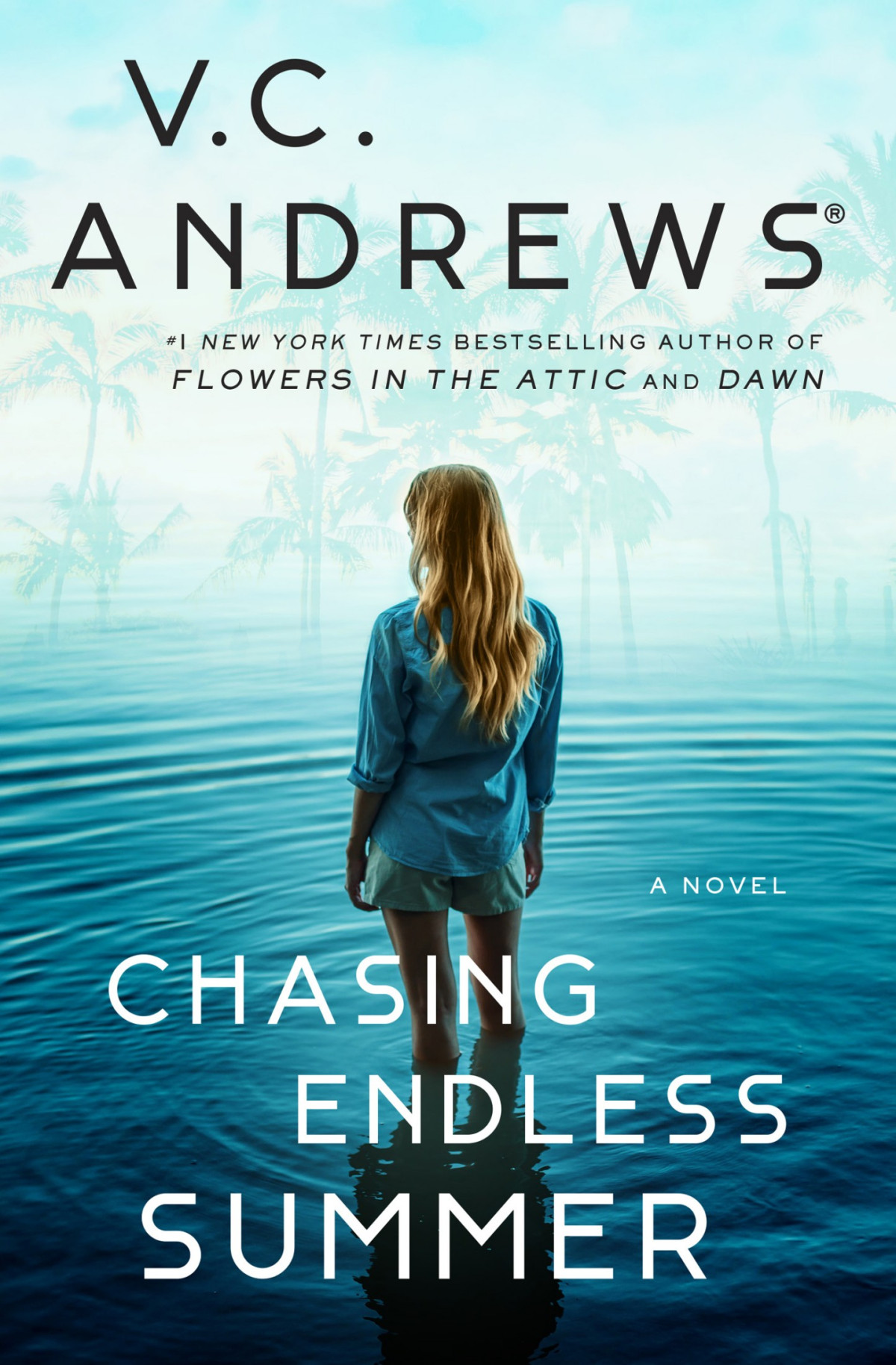 Chasing Endless Summer Vc Andrews