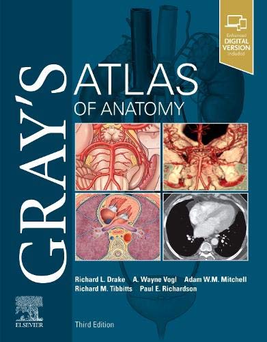 Grays Atlas Of Anatomy Grays Anatomy 3rd Edition Drake Phd