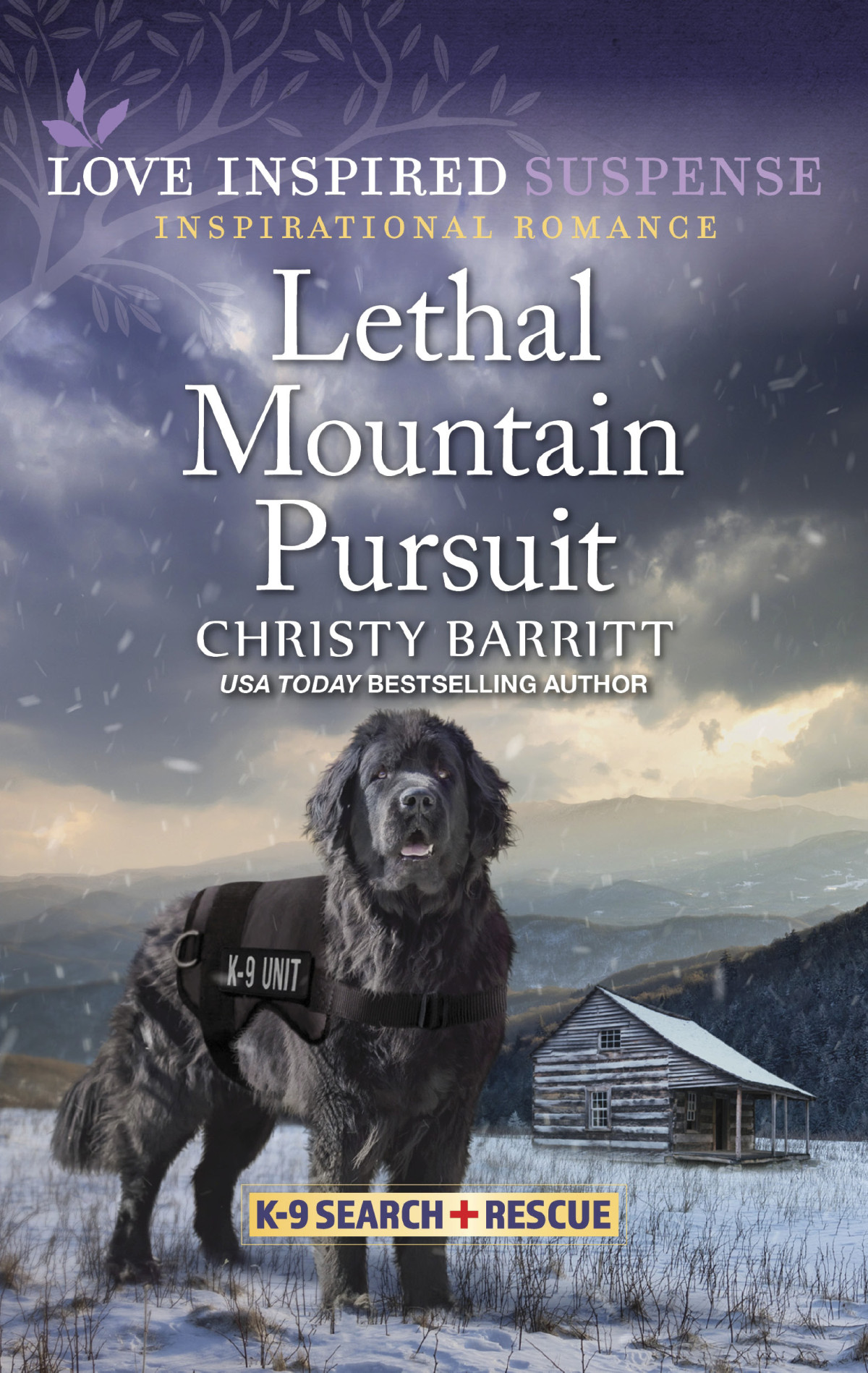 Lethal Mountain Pursuit Christy Barritt