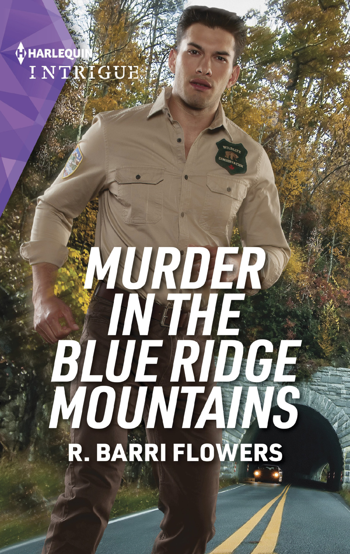 Murder In The Blue Ridge Mountains R Barri Flowers