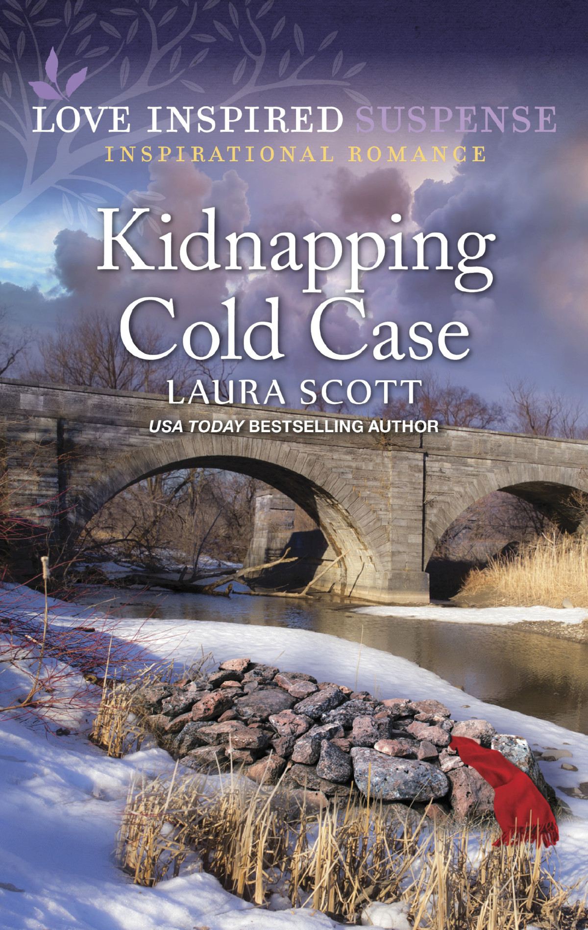 Kidnapping Cold Case Laura Scott