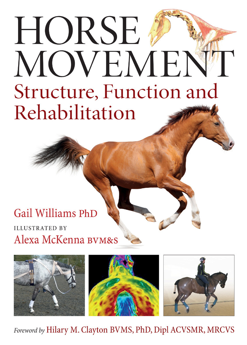 Horse Movement Structure Function And Rehabilitation 1st Edition Williams