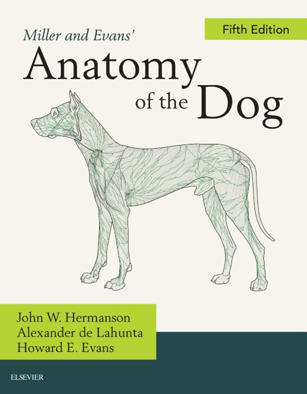 Miller And Evans Anatomy Of The Dog John W Hermanson Alexander De Lahunta Howard E Evans