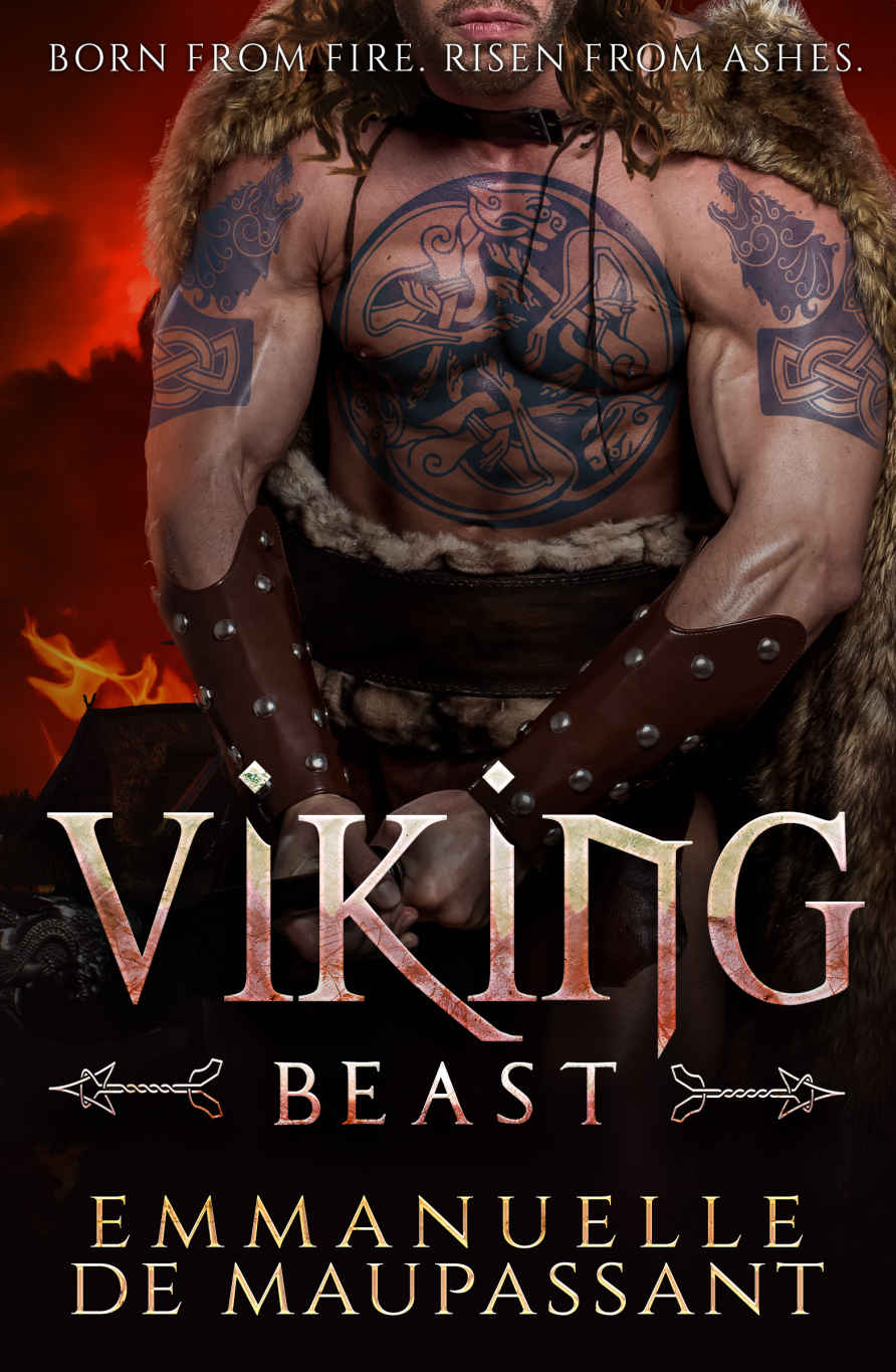 Viking Beast Viking Warriors Book 3 Emmanuelle De Maupassant