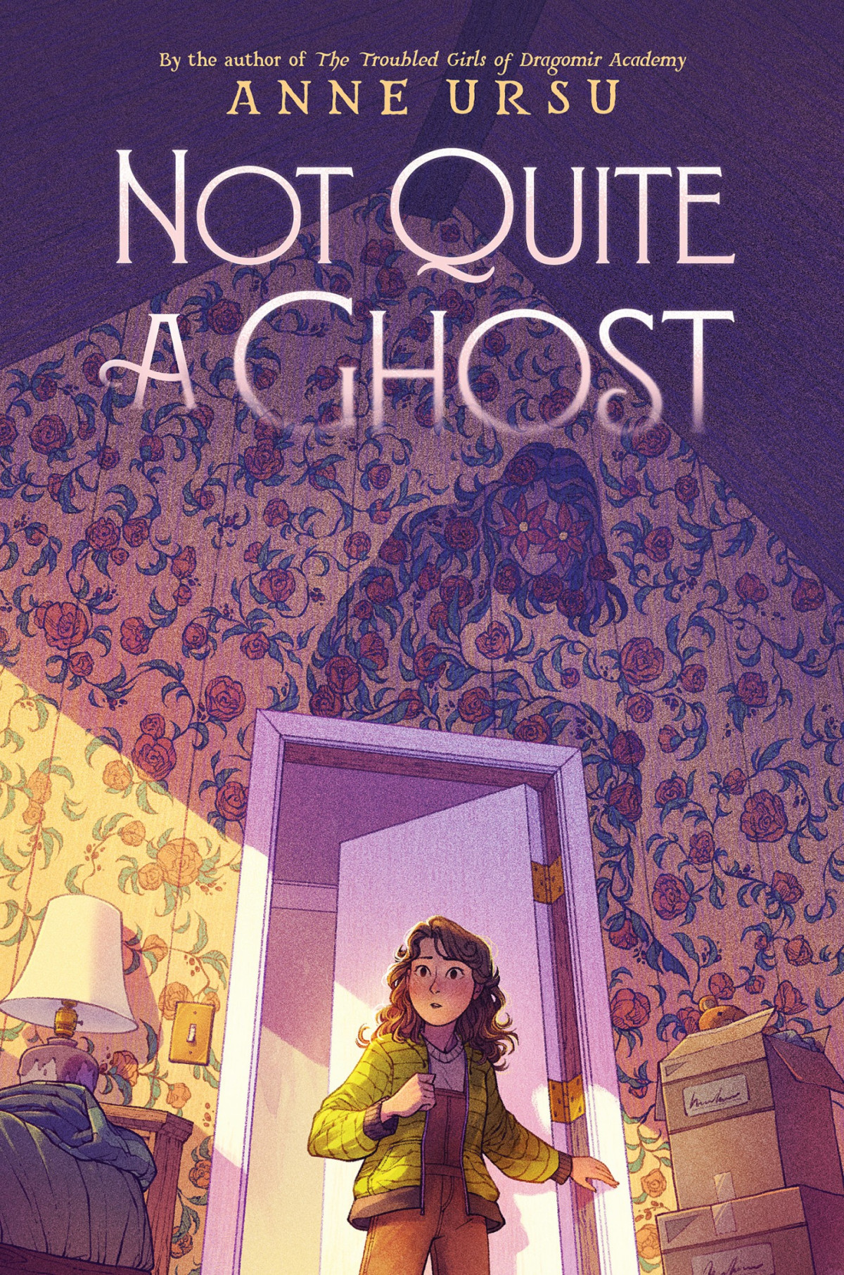 Not Quite A Ghost Anne Ursu