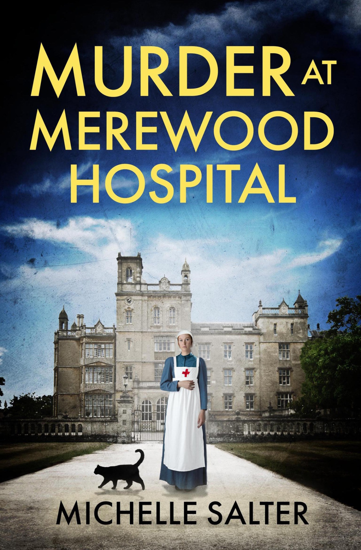 Murder At Merewood Hospital Michelle Salter