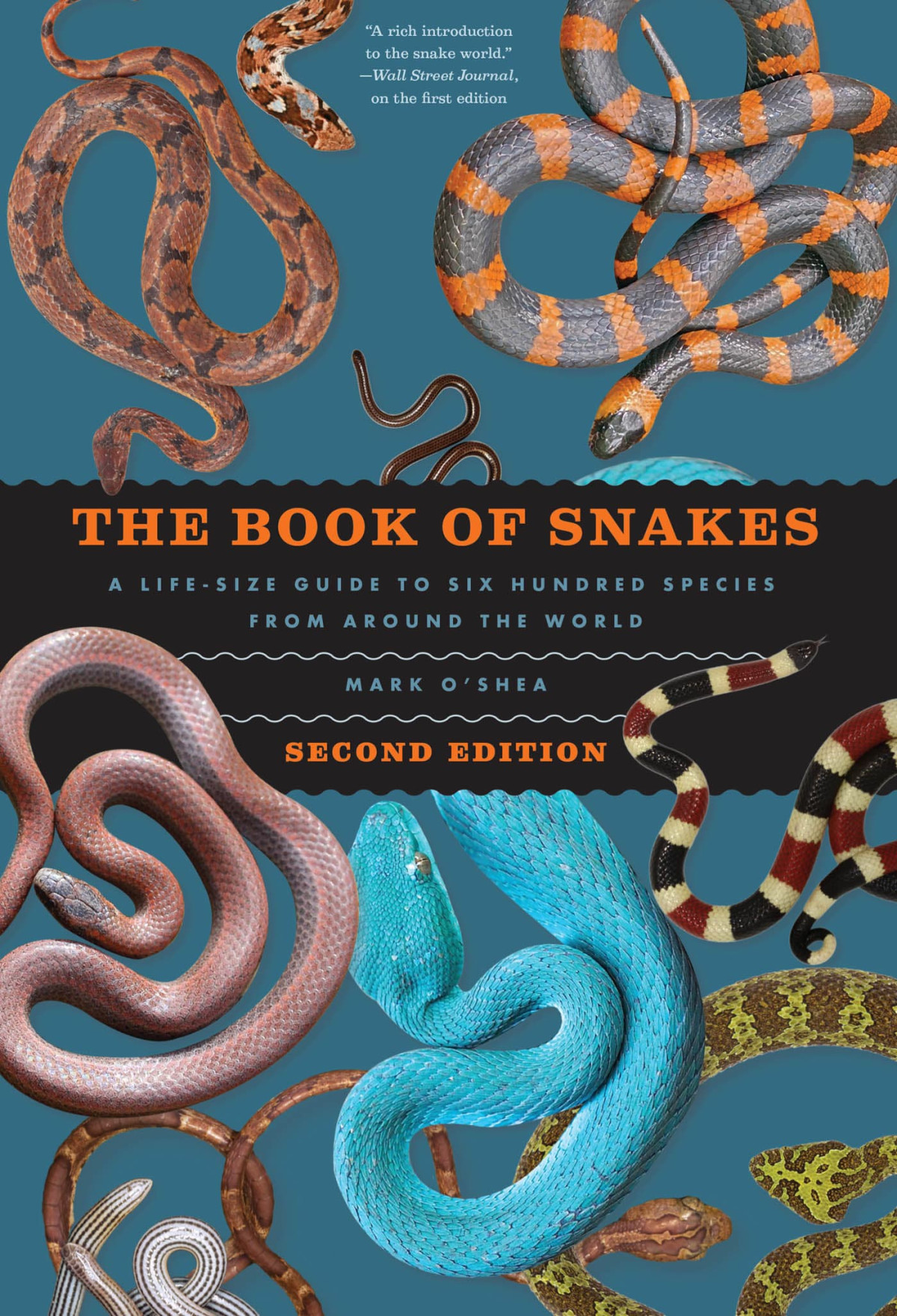 The Book Of Snakes Mark Oshea