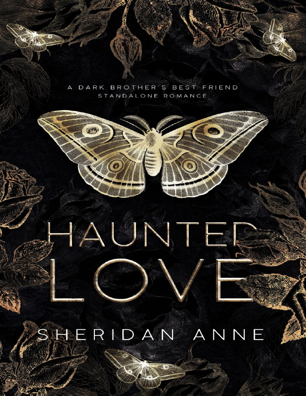 Haunted Love A Dark Brothers Best Friend Standalone Romance Anne