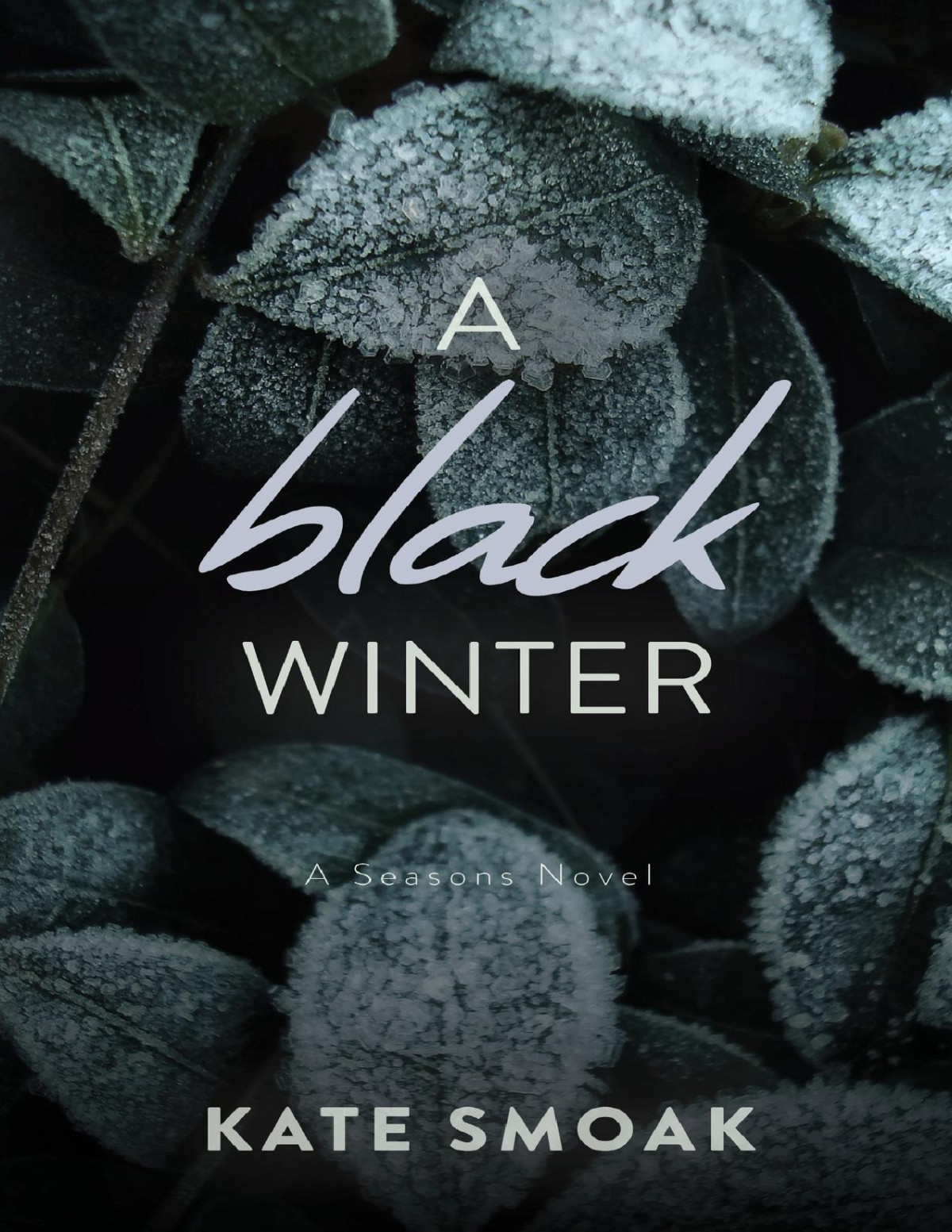 A Black Winter A Seasons Novel Office Billionaire Romance The Seasons Series Book 2 Kate Smoak