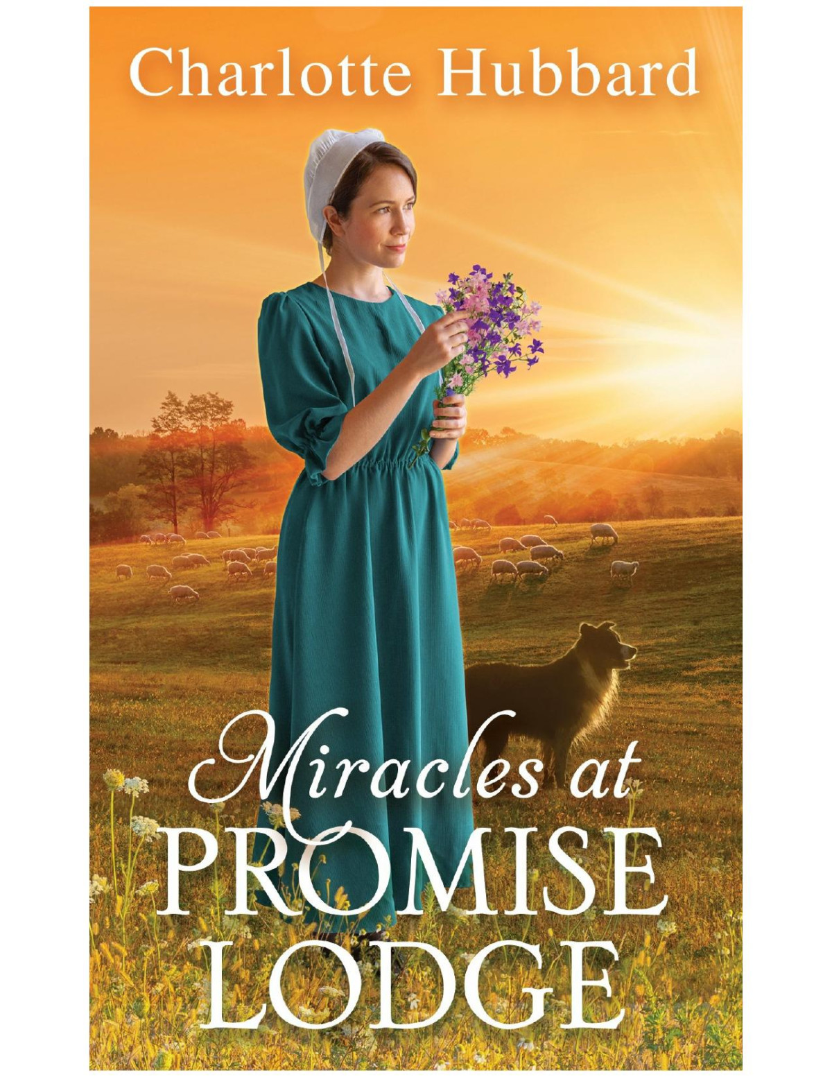 Miracles At Promise Lodge Charlotte Hubbard