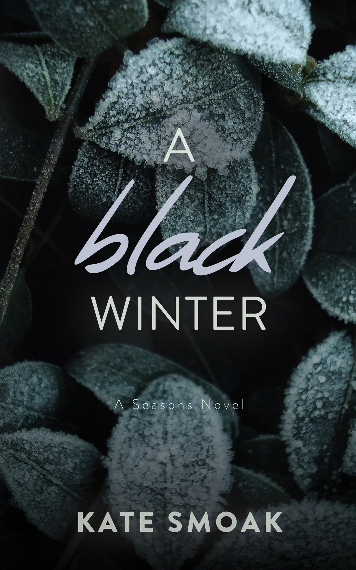 A Black Winter A Seasons Novel Office Billionaire Romance The Seasons Series Book 2 Kate Smoak