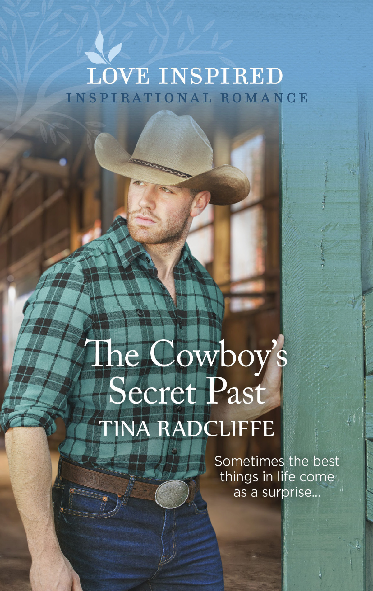 The Cowboys Secret Past Tina Radcliffe