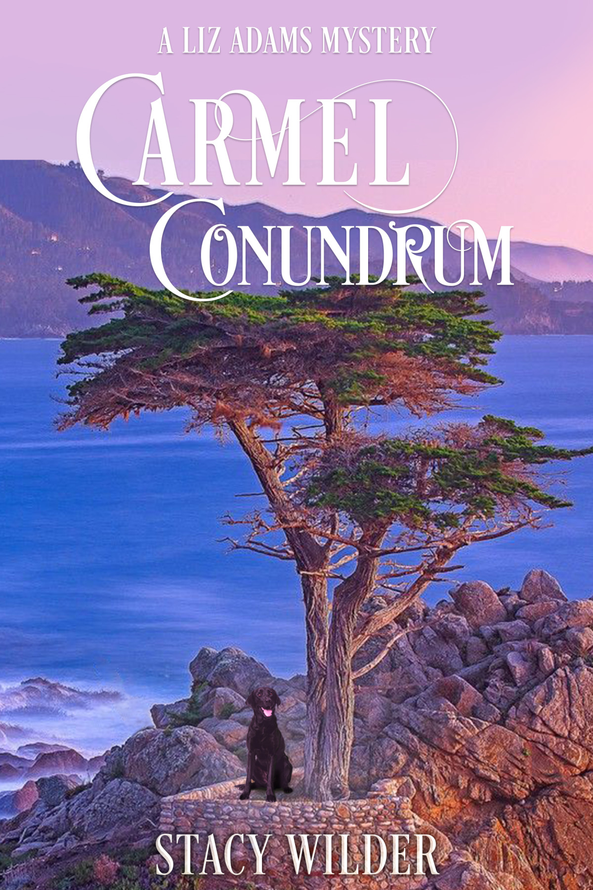 Carmel Conundrum Stacy Wilder