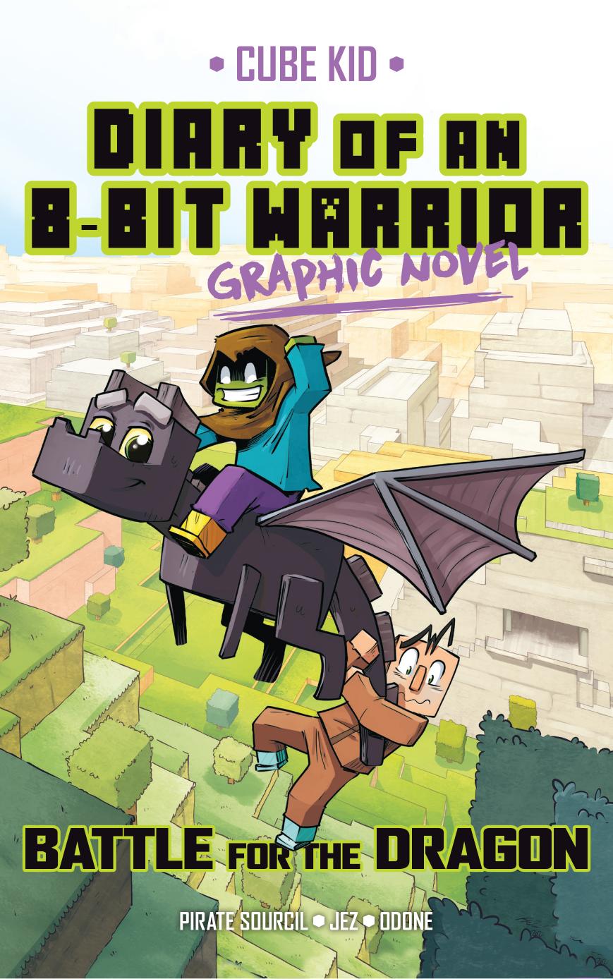 Diary Of An 8bit Warrior Graphic Novel Pirate Sourcil Odone