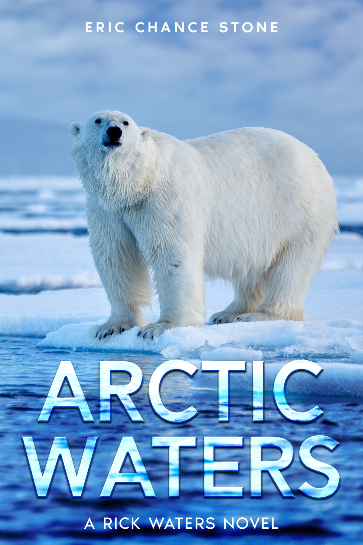 Arctic Waters A Rick Waters Novel Eric Chance Stone