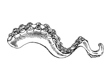 Krammin With A Kraken Darci R Acula Starling Dax
