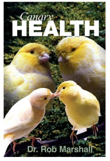 Canary Health Rob Marshall