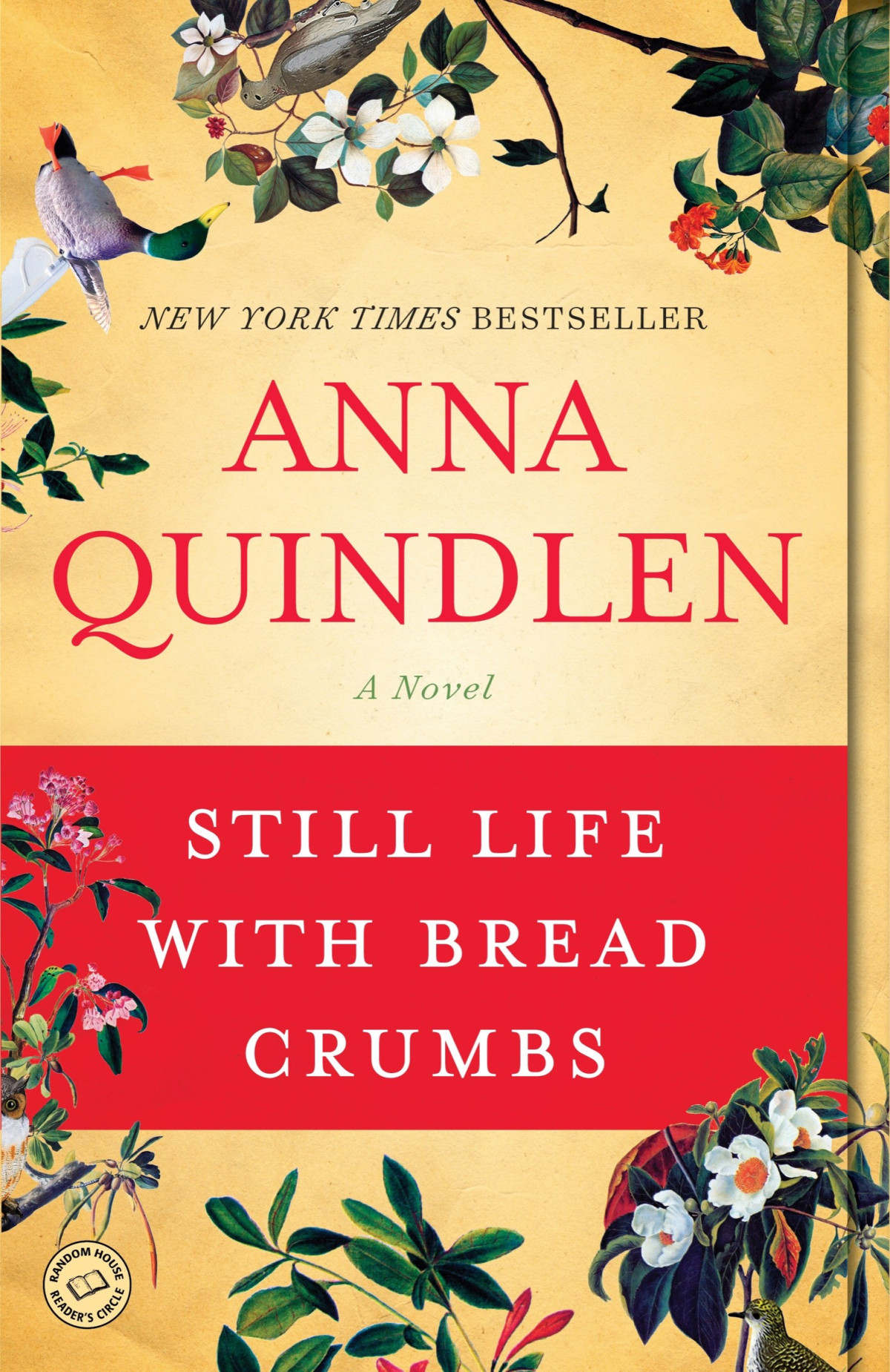 Still Life With Bread Crumbs A Novel Anna Quindlen
