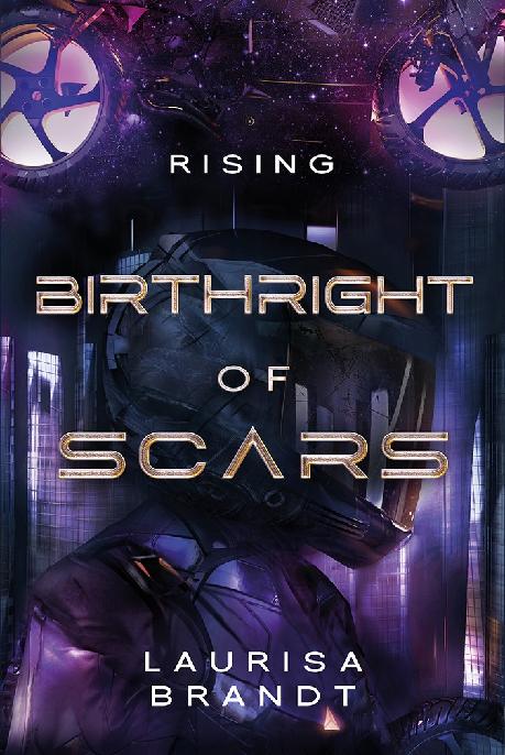 1 Birthright Of Scars Laurisa Brandt