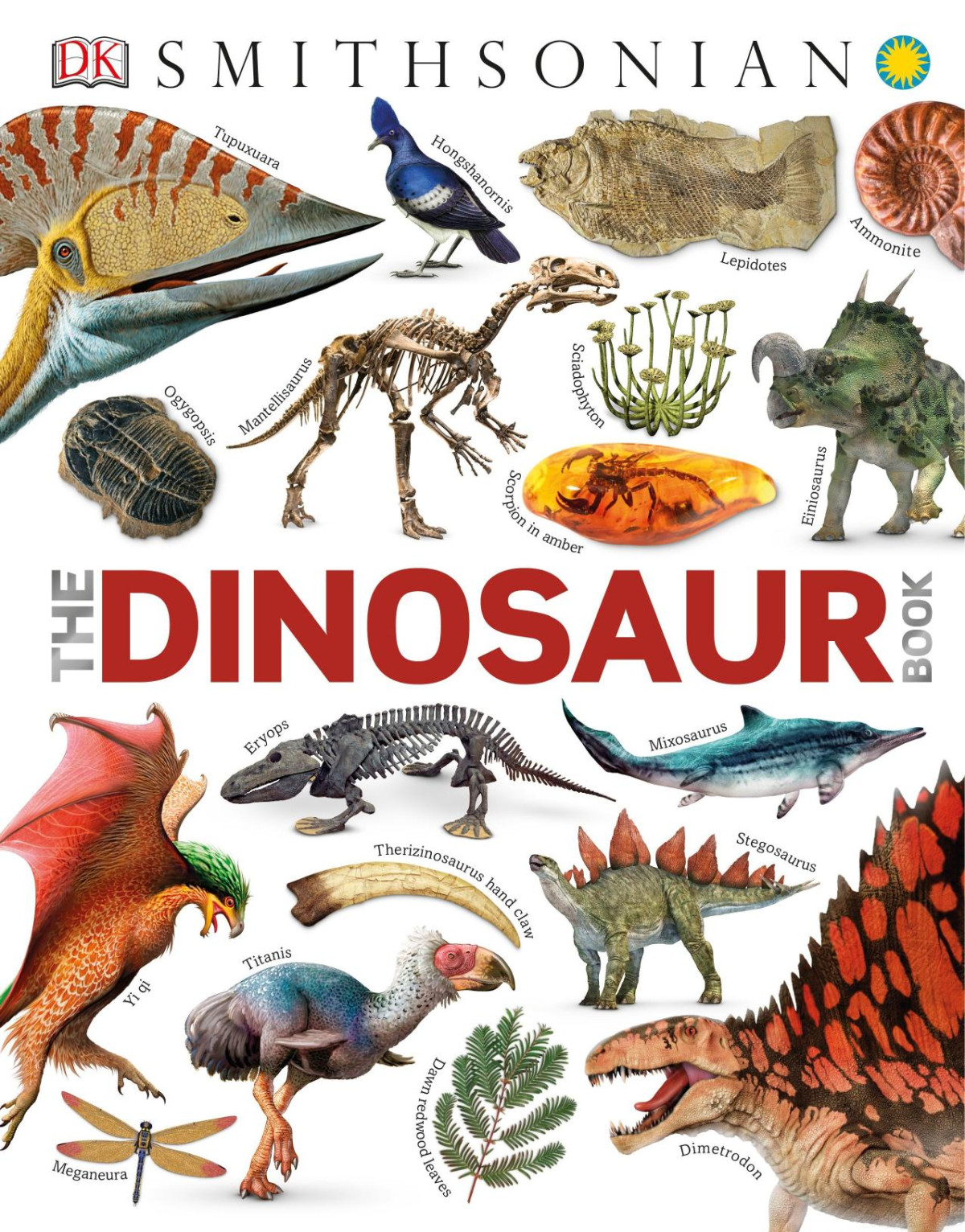 The Dinosaur Book Illustrated Dk Woodward John