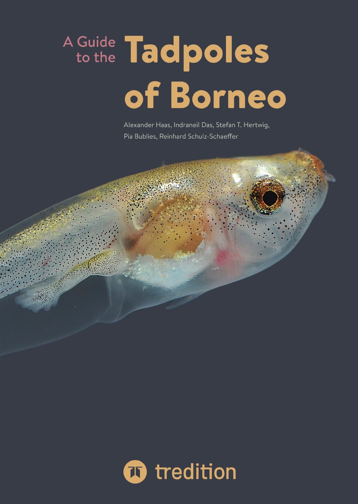 A Guide To The Tadpoles Of Borneo Alexander Haas Indraneil Das