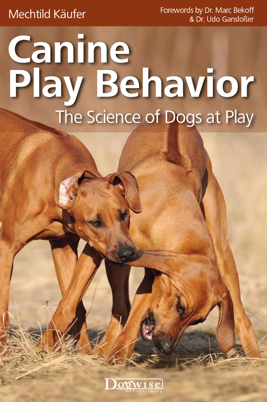 Canine Play Behavior The Science Of Dogs At Play Mechtild Kufer
