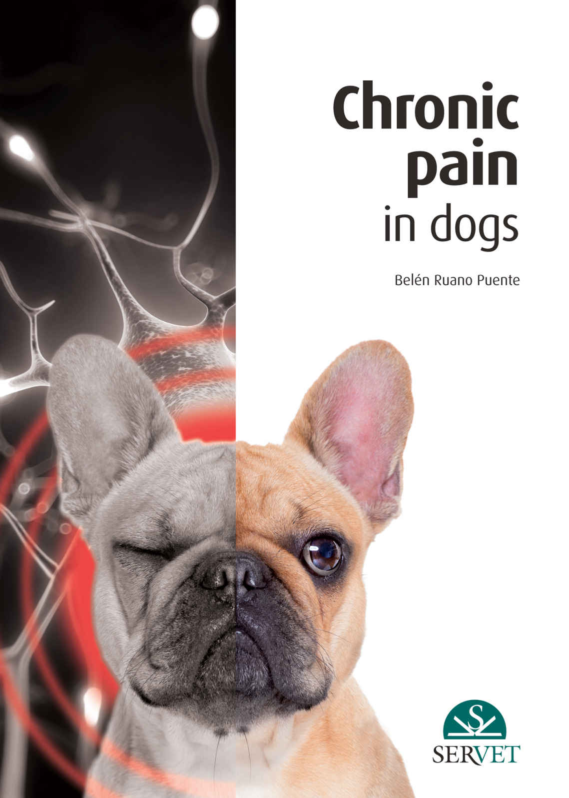 Chronic Pain In Dogs Ruano Puente Beln