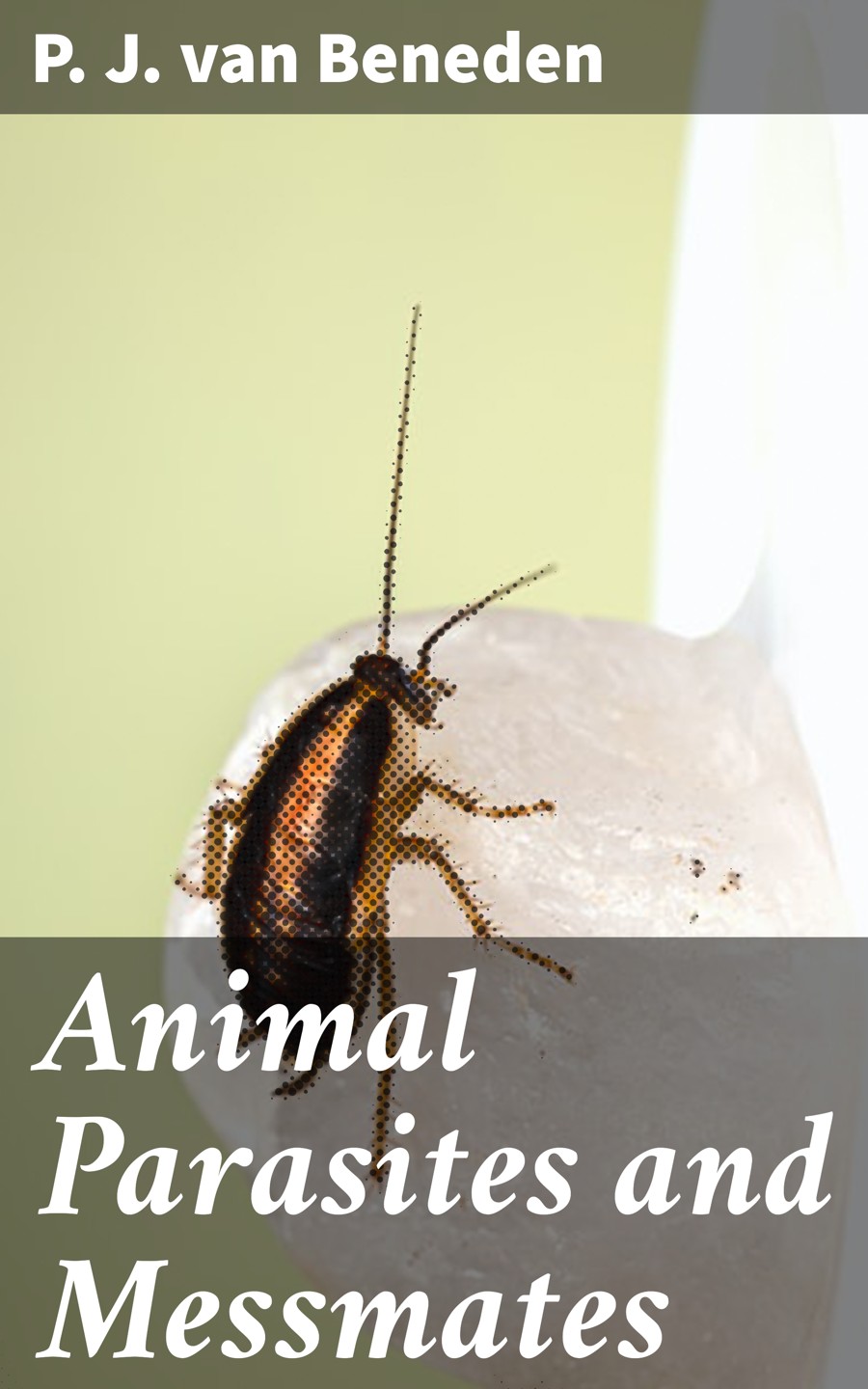 Animal Parasites And Messmates P J Van Beneden