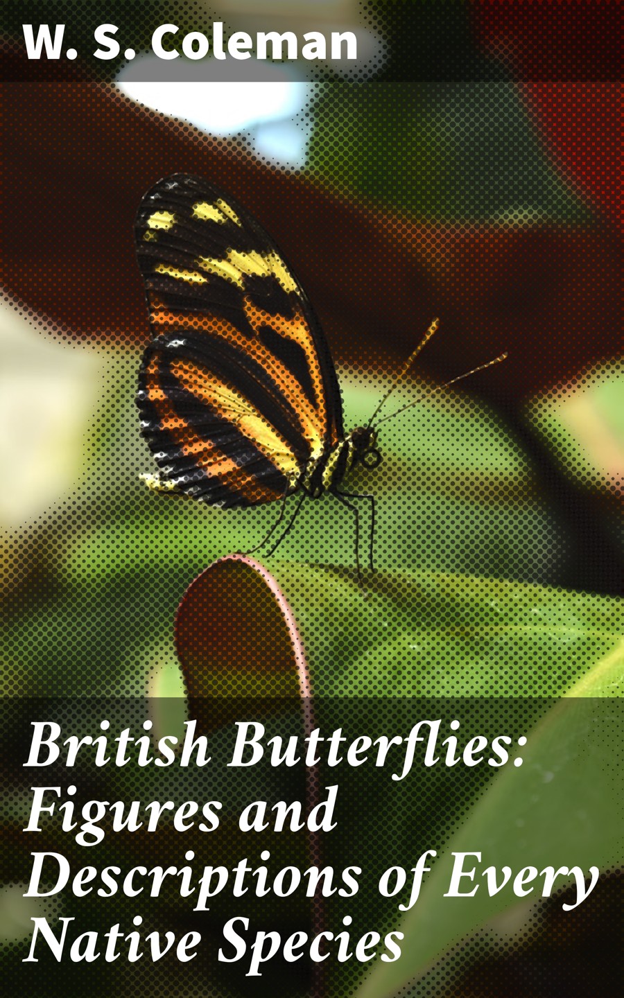 British Butterflies Figures And Descriptions Of Every Native Species W S Coleman