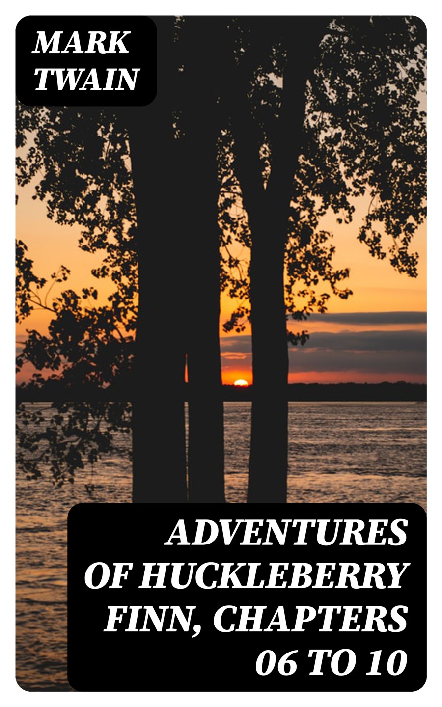 Adventures Of Huckleberry Finn Chapters 06 To 10 Mark Twain