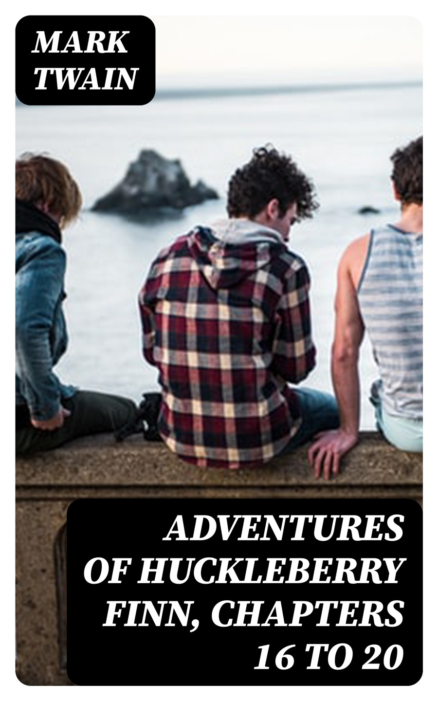 Adventures Of Huckleberry Finn Chapters 16 To 20 Mark Twain